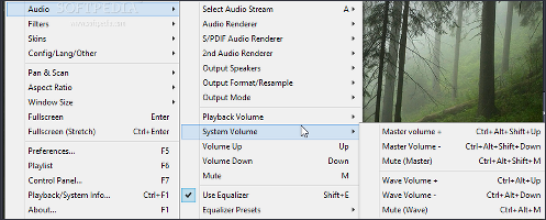 Showing the audio options in PotPlayer
